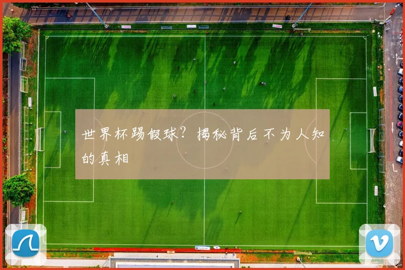 世界杯踢假球？揭秘背后不为人知的真相