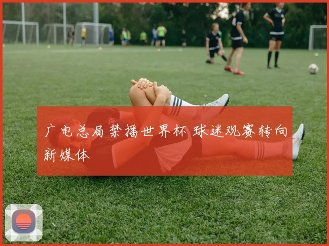 广电总局禁播世界杯 球迷观赛转向新媒体