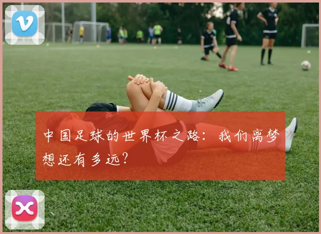 中国足球的世界杯之路：我们离梦想还有多远？