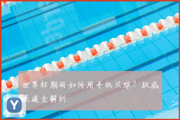 世界杯期间如何用手机买球?权威渠道全解析