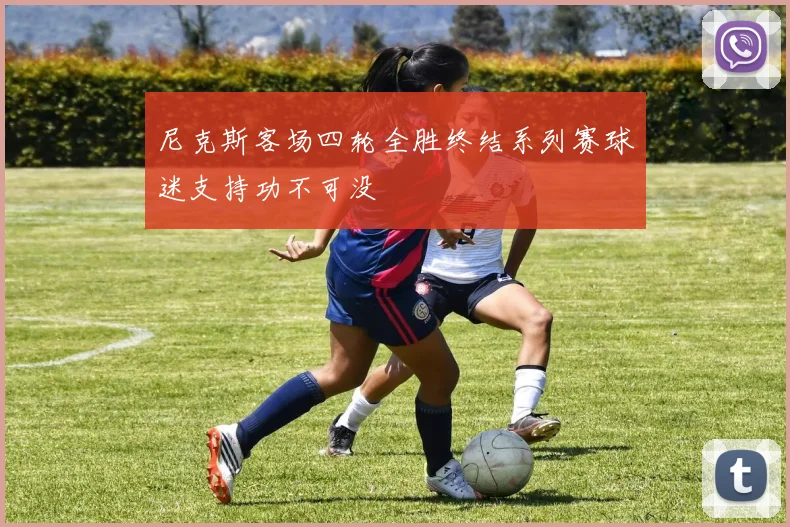 尼克斯客场四轮全胜终结系列赛球迷支持功不可没
