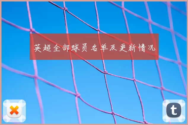 英超全部球员名单及更新情况