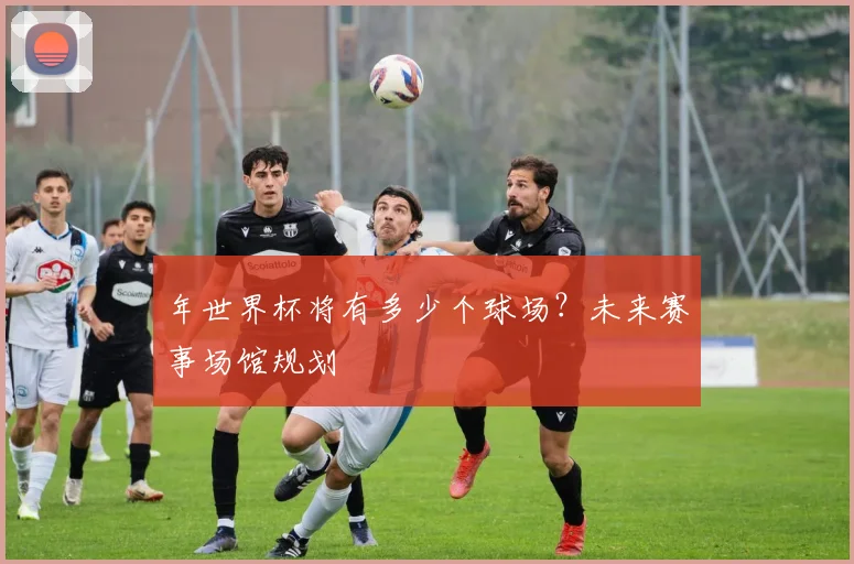 年世界杯将有多少个球场?未来赛事场馆规划