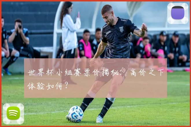 世界杯小组赛票价揭秘:高价之下体验如何?