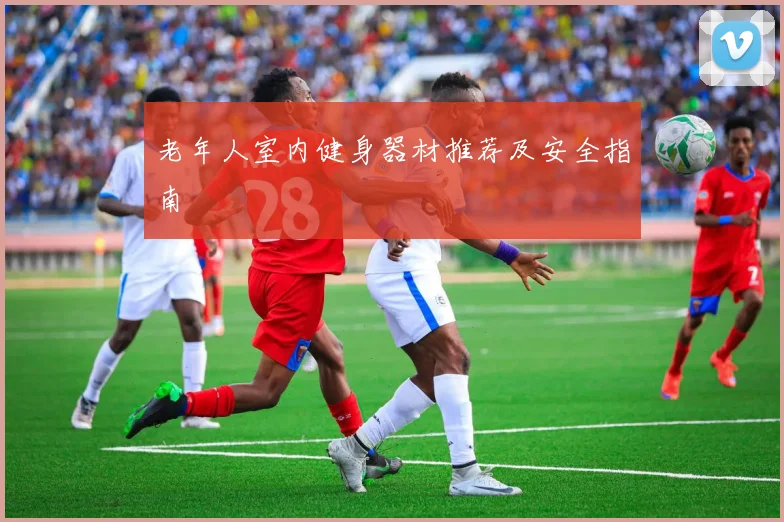 老年人室内健身器材推荐及安全指南