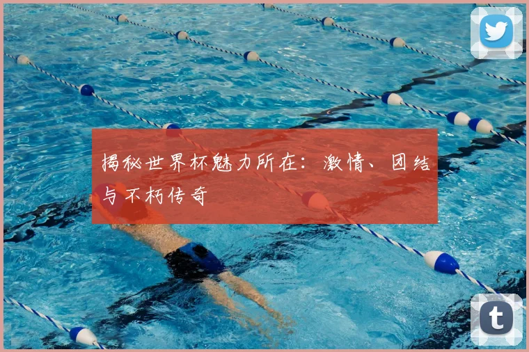 揭秘世界杯魅力所在:激情、团结与不朽传奇