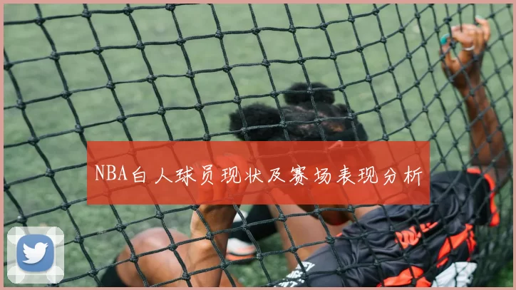 NBA白人球员现状及赛场表现分析