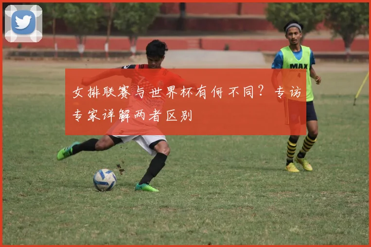 女排联赛与世界杯有何不同？专访专家详解两者区别