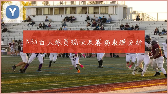 NBA白人球员现状及赛场表现分析