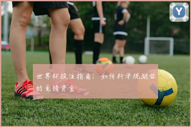 世界杯投注指南:如何科学规划你的竞猜资金