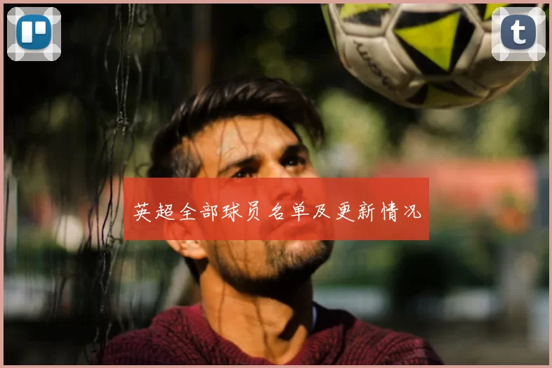英超全部球员名单及更新情况
