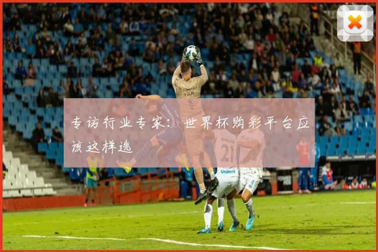 专访行业专家：世界杯购彩平台应该这样选