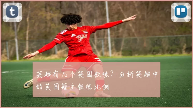 英超有几个英国教练？分析英超中的英国籍主教练比例
