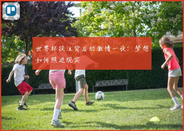 世界杯投注背后的激情一夜：梦想如何照进现实