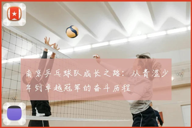 南京乒乓球队成长之路:从青涩少年到卓越冠军的奋斗历程