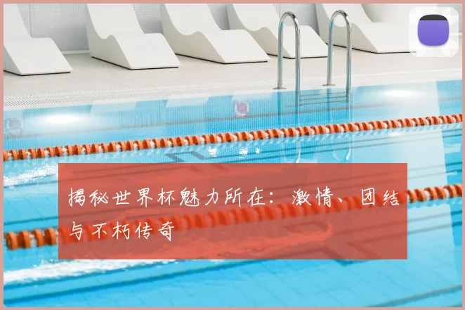 揭秘世界杯魅力所在：激情、团结与不朽传奇