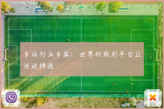 专访行业专家：世界杯购彩平台应该这样选