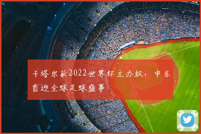 卡塔尔获2022世界杯主办权，中东首迎全球足球盛事