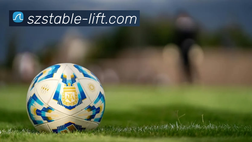 星空官网平台生态图