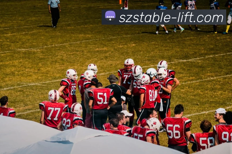 星空官网APP 封面图